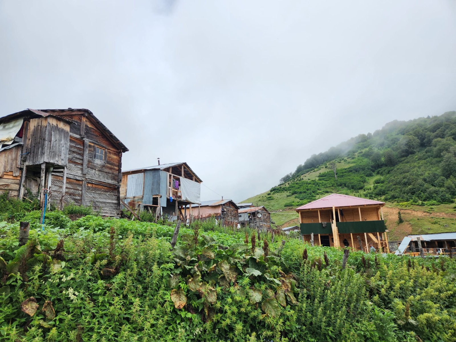 İZMİR ÇIKIŞLI KARADENİZ & DOYA DOYA ŞAVŞAT  TURU