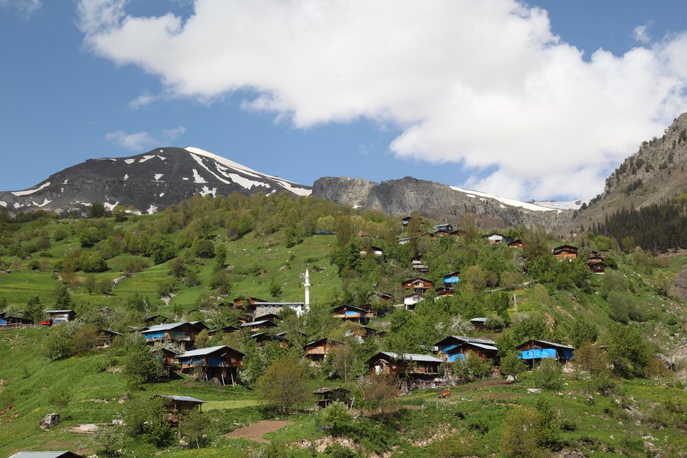 Şavşat Yaylalar Turu  Kolay Tur