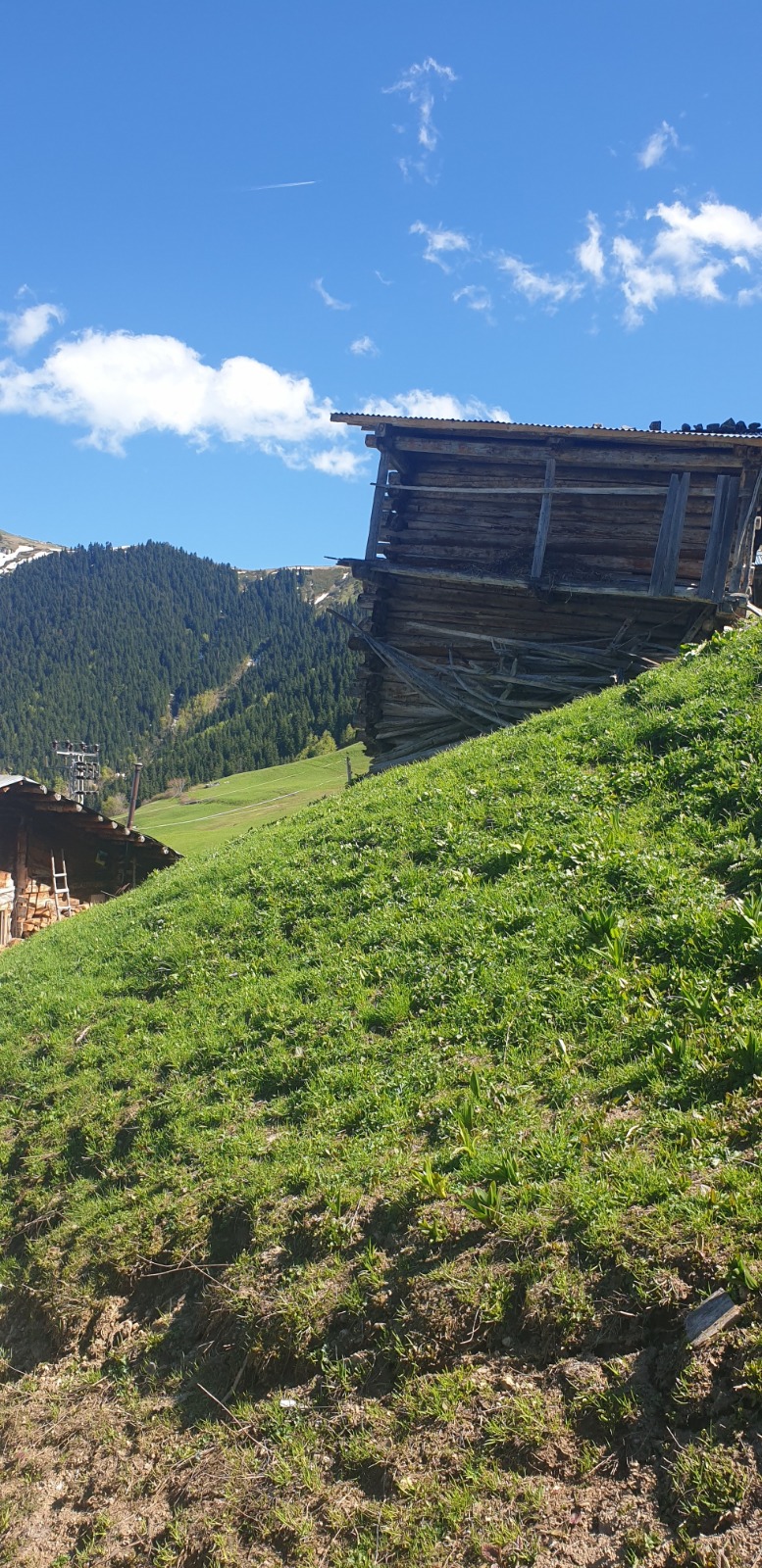 Şavşat Yaylalar Turu  Kolay Tur