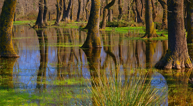 BAFRA BATIK MİNARE & ŞAHİNKAYA KANYONU TEKNE TURU 