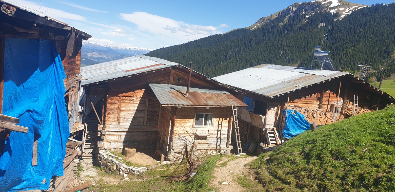 İZMİR ÇIKIŞLI KARADENİZ & DOYA DOYA ŞAVŞAT  TURU