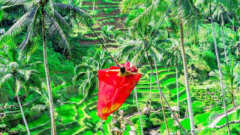 Bali’nin Tüm Renkleri: Doğa, Kültür ve Macera