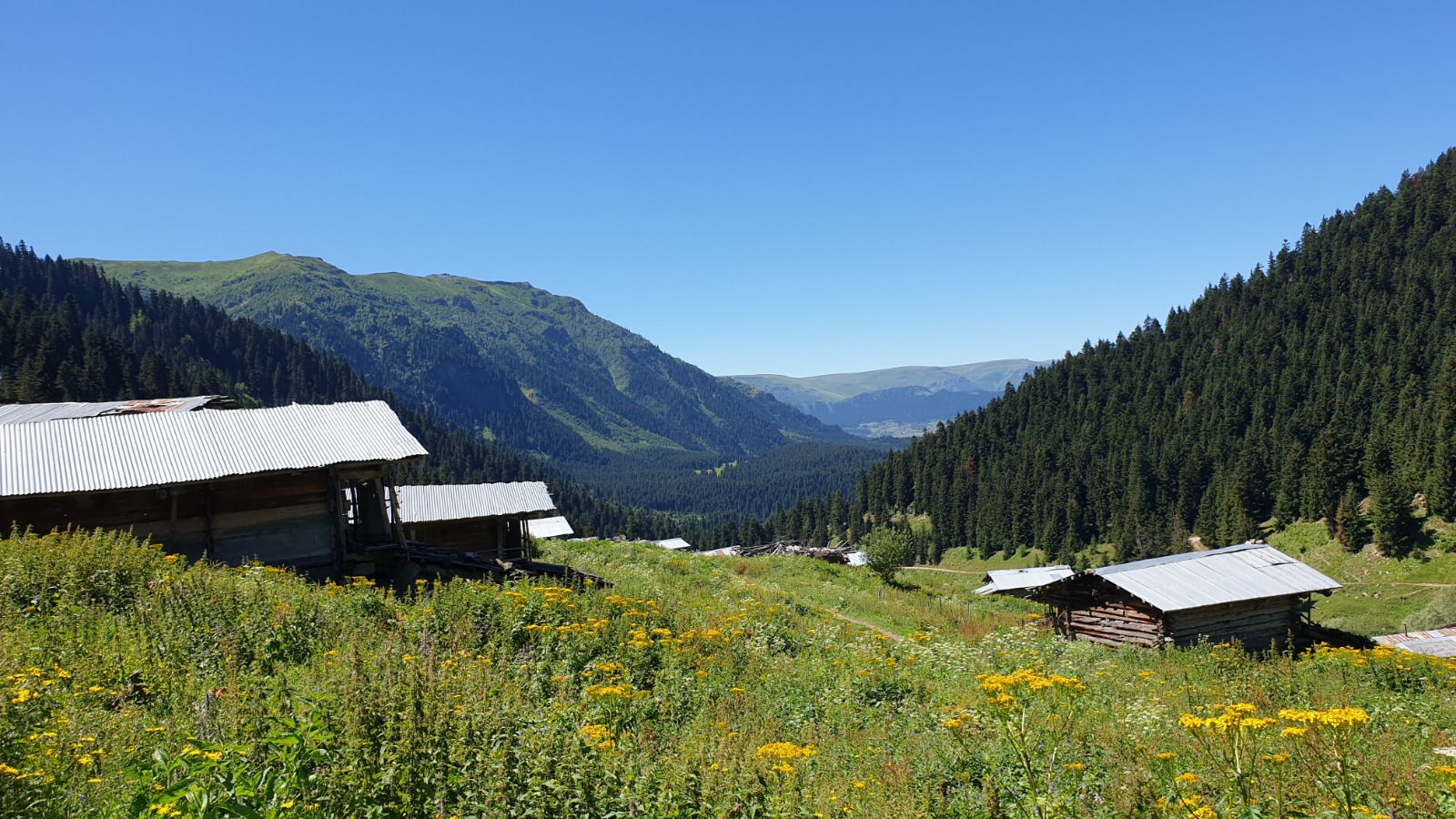 Baharda Şavşat Turu