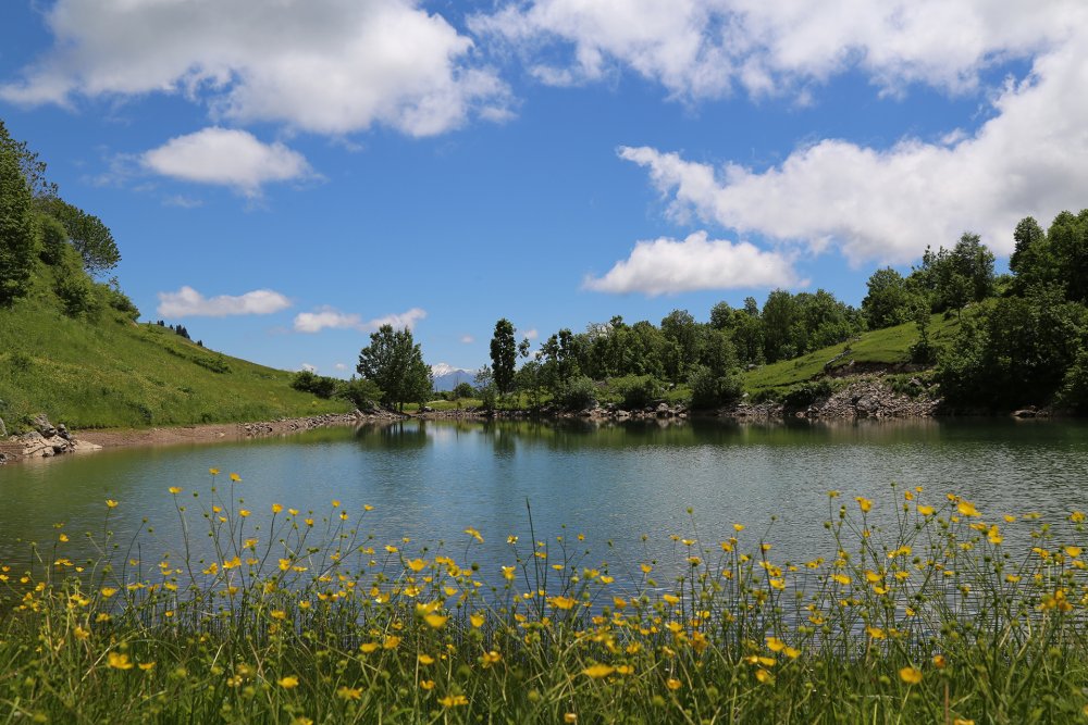 Şavşat Yaylalar Turu  Kolay Tur