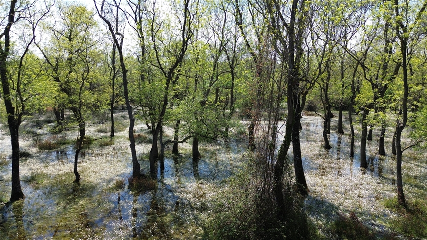 BAFRA BATIK MİNARE & ŞAHİNKAYA KANYONU TEKNE TURU 
