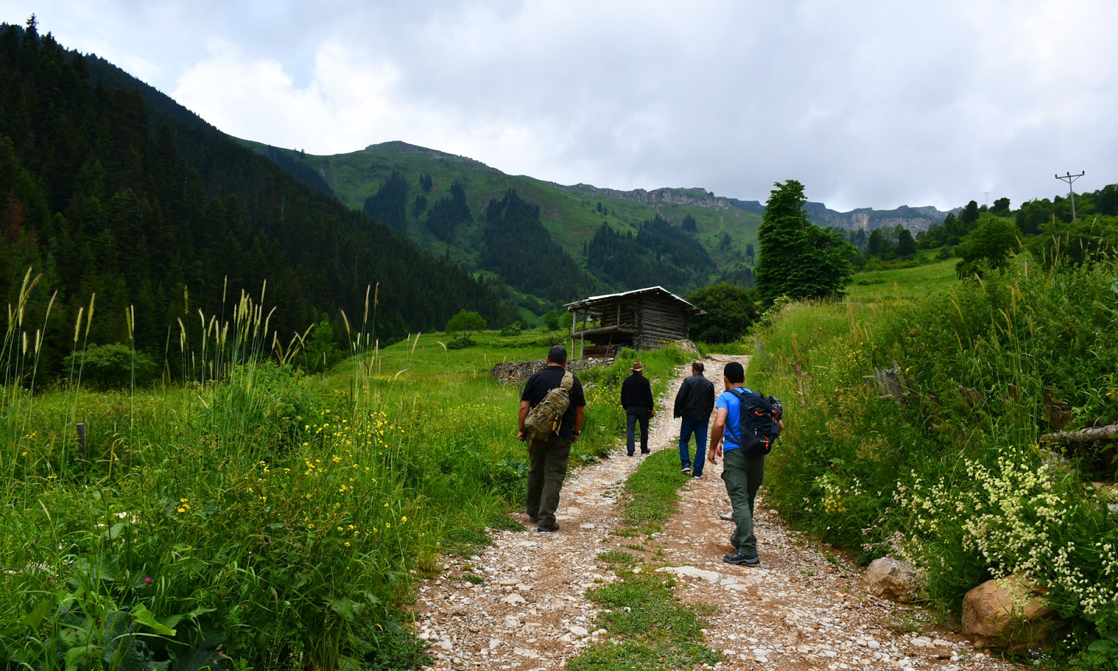 Şavşat Yaylalar Turu  Kolay Tur