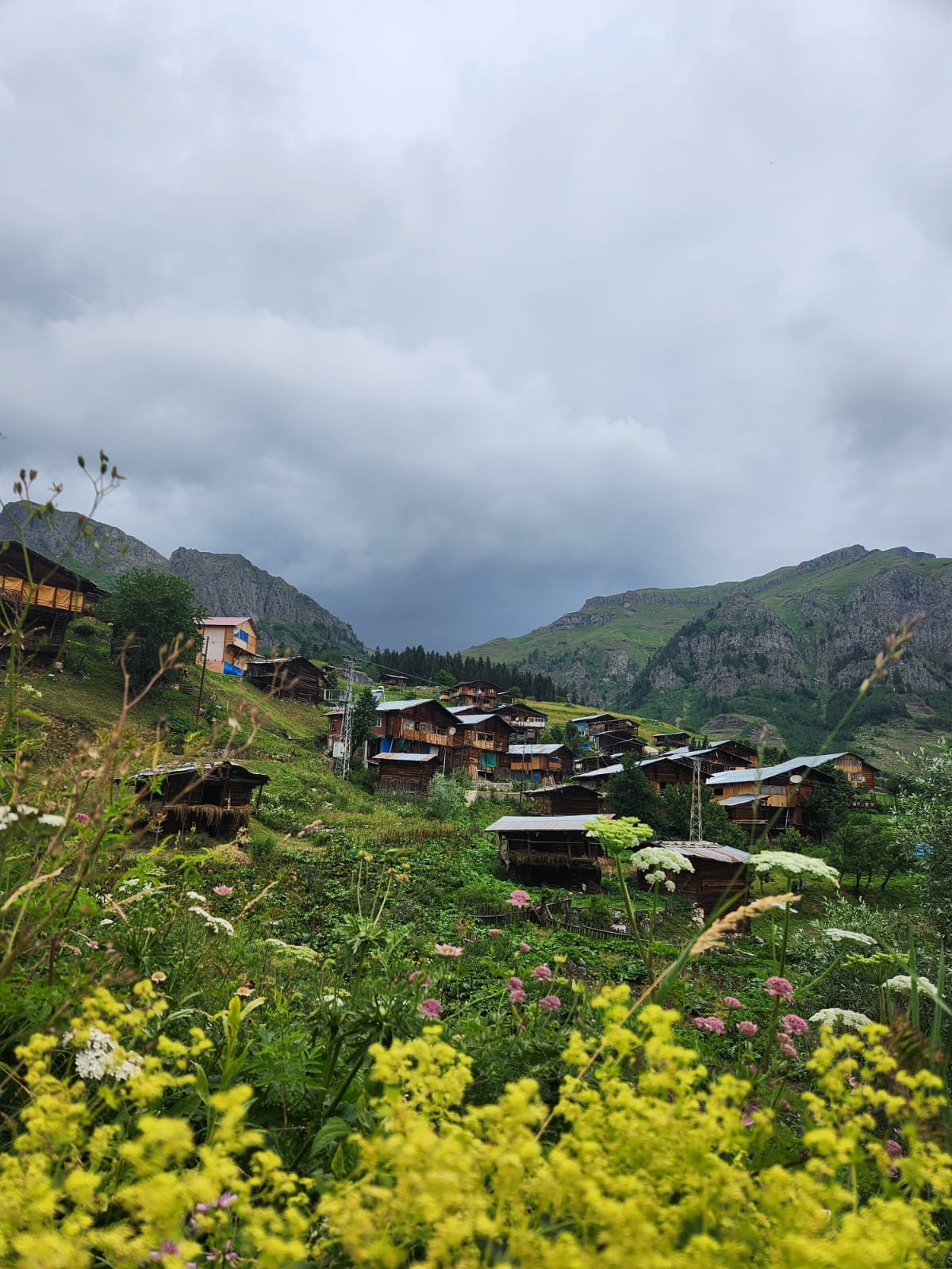 İZMİR ÇIKIŞLI KARADENİZ & DOYA DOYA ŞAVŞAT  TURU