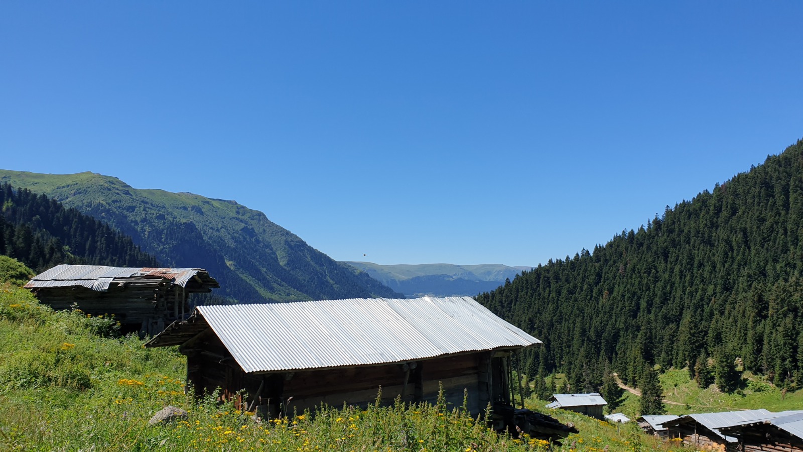 Şavşat Yaylalar Turu  Kolay Tur