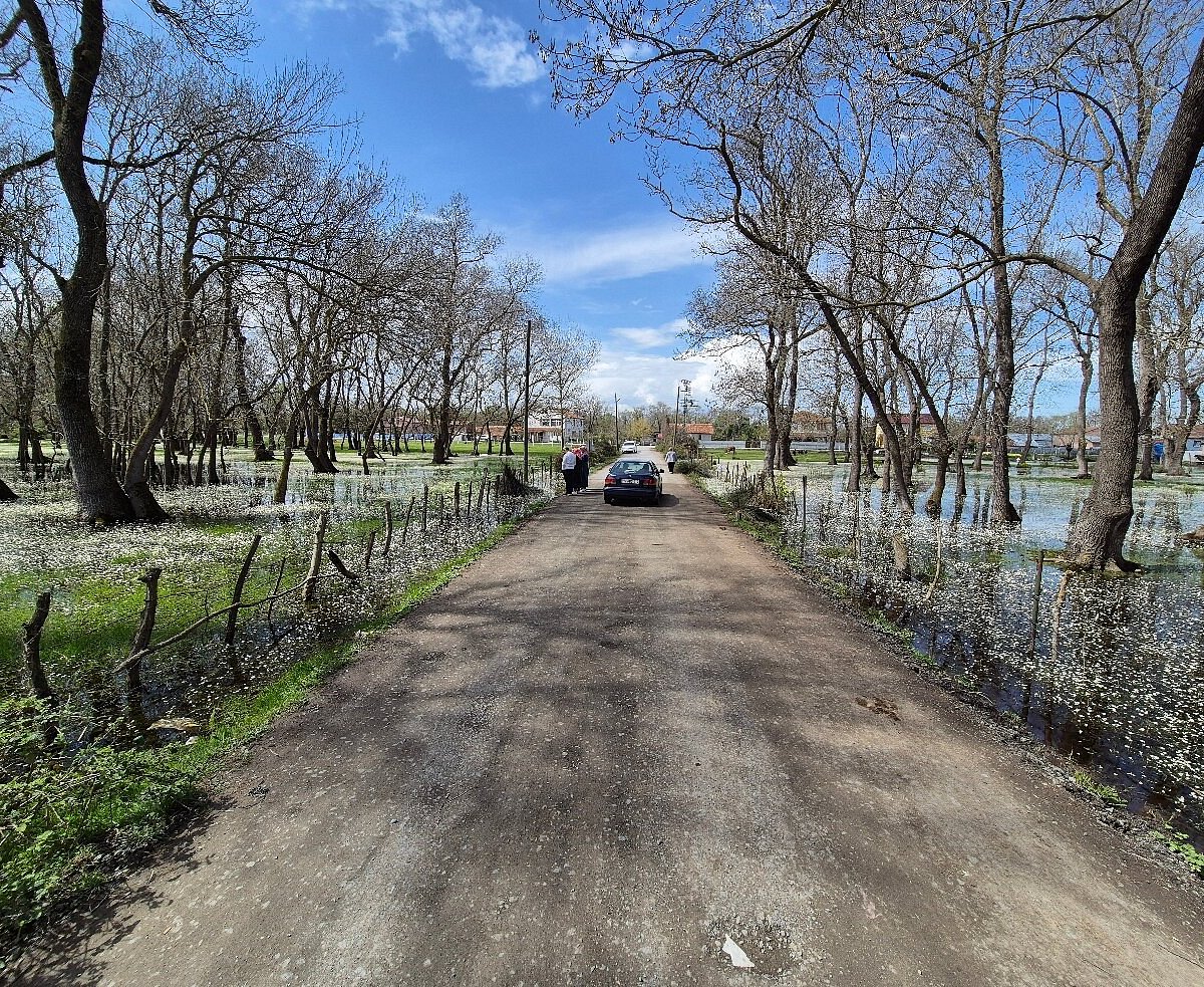 BAFRA BATIK MİNARE & ŞAHİNKAYA KANYONU TEKNE TURU 