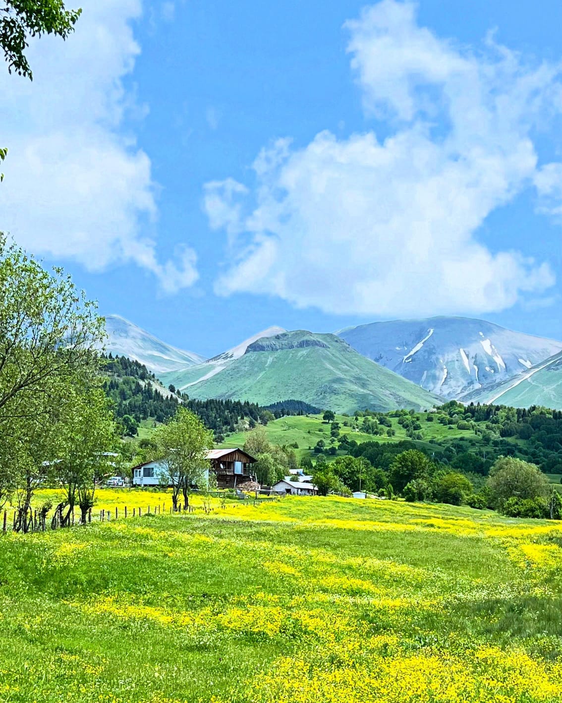 Baharda Şavşat Turu