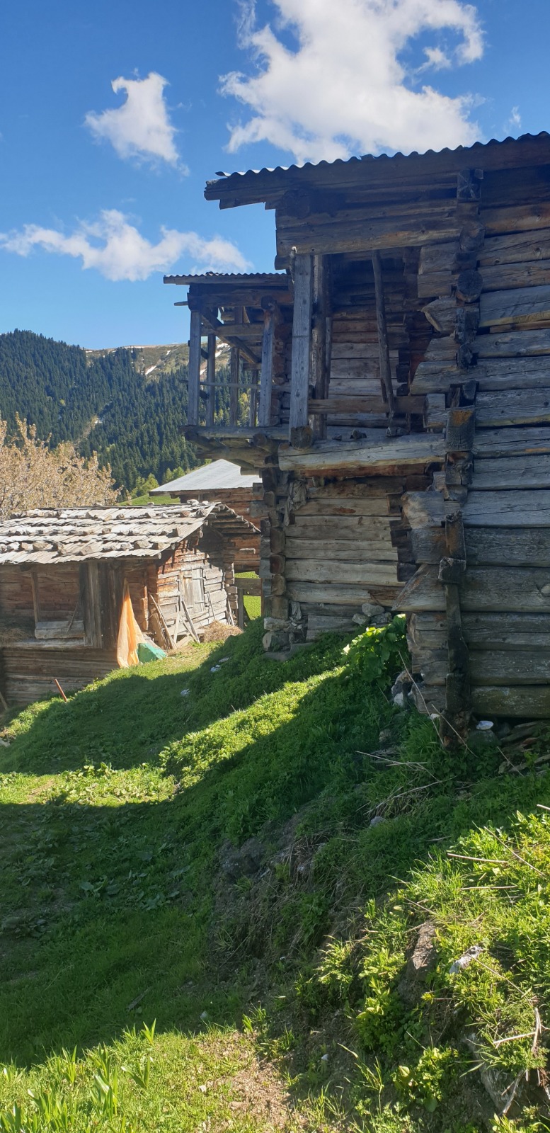 Şavşat Yaylalar Turu  Kolay Tur