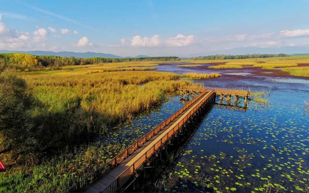 Düzce Şelaleleri Turu