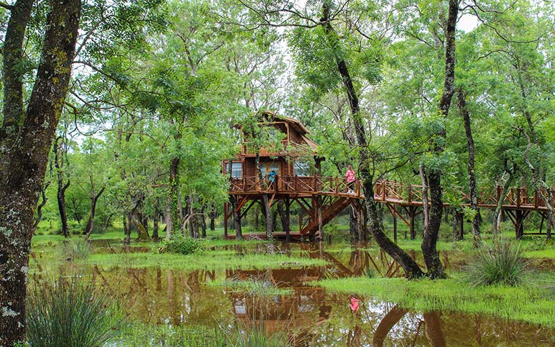 BAFRA BATIK MİNARE & ŞAHİNKAYA KANYONU TEKNE TURU 