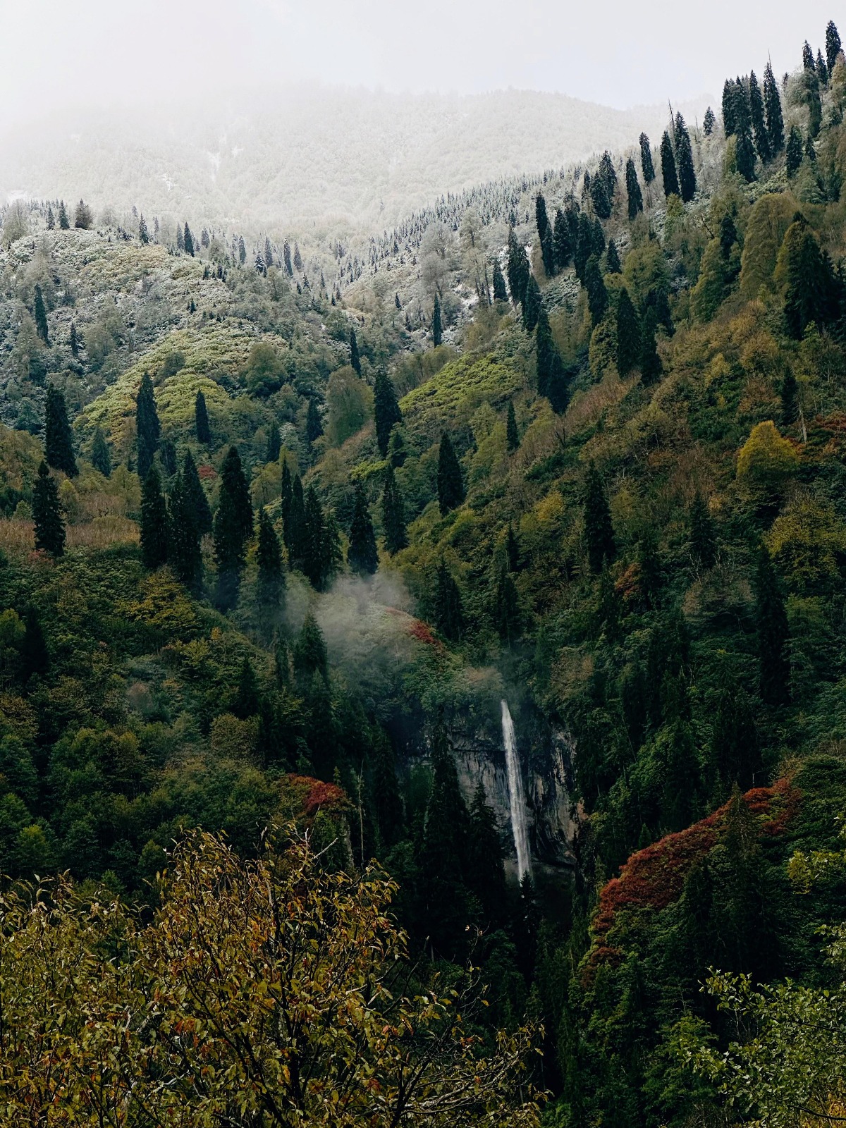 Baharda Şavşat Turu