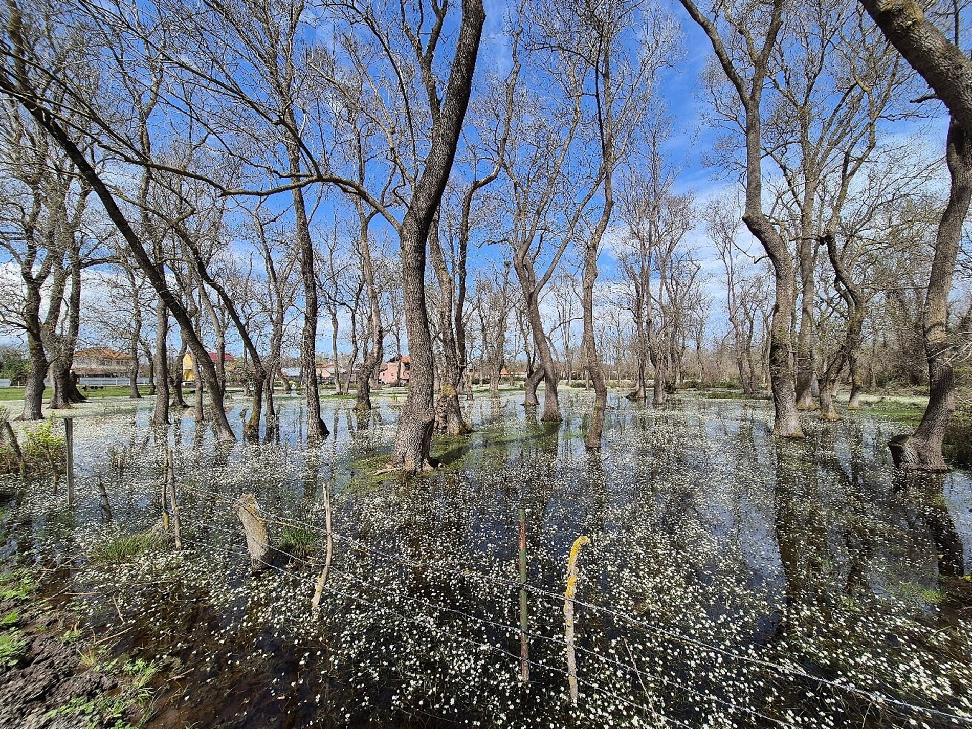 BAFRA BATIK MİNARE & ŞAHİNKAYA KANYONU TEKNE TURU 