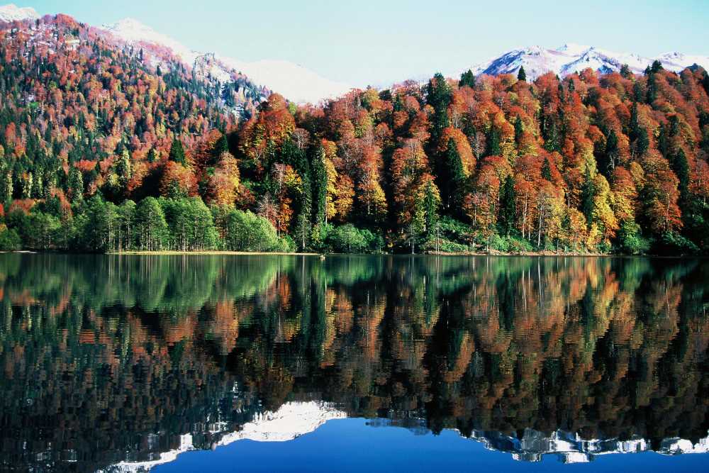 Şavşat Yaylalar Turu  Kolay Tur
