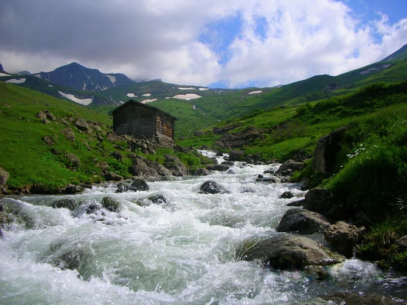 İZMİR ÇIKIŞLI KARADENİZ & DOYA DOYA ŞAVŞAT  TURU